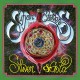 SUFJAN STEVENS-SILVER & GOLD -BOX- (6LP)