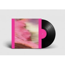 H.A.N.K.-THE BIG MELT (LP)