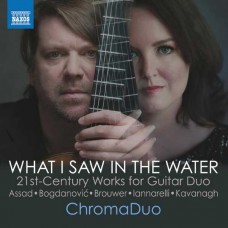 CHROMADUO-BROUWER, ASSAD & KAVANAGH: ASSAD, BOGDANOVIC, BROUWER, IANNARELLI & KAVANAGH: WHAT I SAW IN THE WATER (CD)