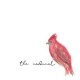 JOE WESLEY-THE CARDINAL (CD)