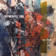 PINEAPPLE THIEF-LAST TO RUN (CD)