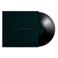 TYSHAWN SOREY-THE SUSCEPTIBLE NOW (2LP)