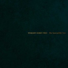 TYSHAWN SOREY-THE SUSCEPTIBLE NOW (CD)