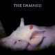 DAMNED-STRAWBERRIES -DELUXE/ANNIV- (2CD)