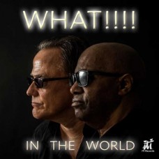 WHAT!!!!-IN THE WORLD (CD)