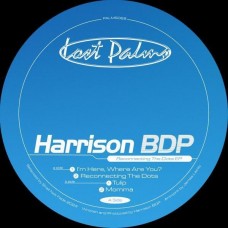 HARRISON WEBBER-RECONNECTING THE DOTS -COLOURED/EP- (12")