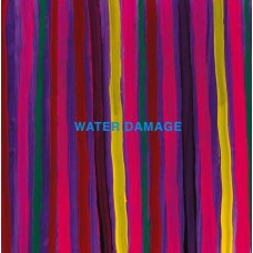 WATER DAMAGE-2 SONGS (LP)