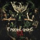 WEEDEVIL-PROFANE SMOKE RITUAL -COLOURED- (LP)