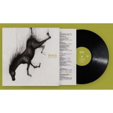 DARIA-FALL NOT (LP)