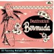 V/A-DESTINATION BERMUDA - 25 YEARNING MELODIES FOR YOUR BERMUDA VACATION (CD)