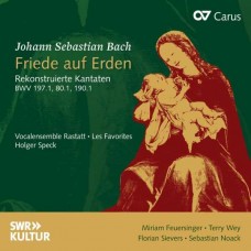 TERRY WEY-BACH: FRIEDE AUF ERDEN - RECONSTRUCTED CANTATAS BWV 197.1, BWV 80.1, BWV 190.1 (CD)