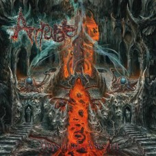 AMPUTATE-ABYSMAL ASCENT (CD)