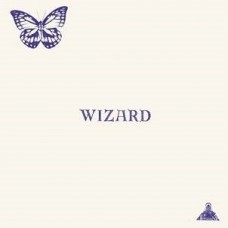 WIZARD-WIZARD (LP)