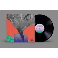 EVERYTHING EVERYTHING-MOUNTAINHEAD -HQ- (LP)