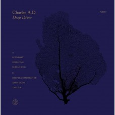 CHARLES A.D-DEEP DIVER (LP)