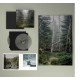 GIDGE-AB10 -COLOURED/BOX- (3LP)
