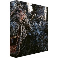 FILME-GODZILLA MINUS ONE -DELUXE/BOX- (4BLU-RAY)