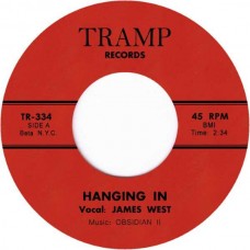 JAMES WEST-HANGING IN (7")