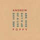 ANDREW POPPY-ARK HIVE OF LIVE (4CD)