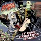 MYSTERY ACTION-IT CAME FROM FROG ISLAND (CD)