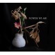 FLOWERS WE ARE-FLOWERS WE ARE (CD)