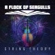 A FLOCK OF SEAGULLS-STRINGS THEORY (5CD)