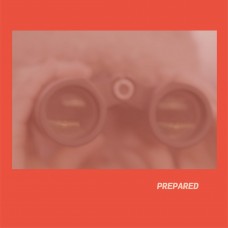 LAURA J MARTIN-PREPARED (CD)