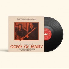 EARTHTONES & SHEELA BRINGI-OCEAN OF BEAUTY: MEDITATIONS FOR SYNTHESIZER & BANSURI FLUTE (LP)