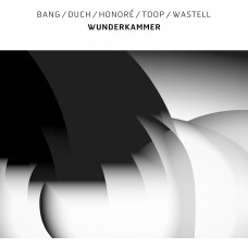 BANG/DUCH/HONORE/TOOP/WASTELL-WUNDERKAMMER (LP)