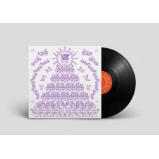 MATTIAS DE CRAENE-A HOUSE WHERE I DREAM (LP)