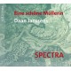 THOMAS BLONDELLE/SPECTRA/FILIP RATHE-DAAN JANSSENS: EINE SCHONE MULLERIN (CD)