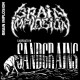 BRAIN IMPLOSION-LIQUIDATION SANDGRAINS (AND LIVE) -REMAST- (CD)