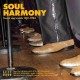V/A-SOUL HARMONY: SWEET SOUL VOCALS 1961-1984 (CD)