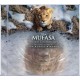 B.S.O. (BANDA SONORA ORIGINAL)-MUFASA: THE LION KING (CD)