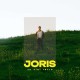 JORIS-ZU VIEL RETRO (CD)