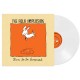 FOLK IMPLOSION-DARE TO BE SURPRISED -COLOURED- (LP)