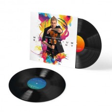 DAVID GARRETT-MILLENNIUM SYMPHONY (2LP)