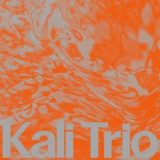 KALI TRIO-THE PLAYFUL ABSTRACT (LP)