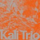 KALI TRIO-THE PLAYFUL ABSTRACT (CD)