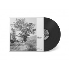 LOS GIGANTES DORMIDOS-LOS JARDINES DE MIS ABUELOS (LP)