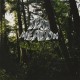 DEAD MEADOW-OLD GROWTH -COLOURED- (2LP)