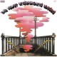 VELVET UNDERGROUND-LOADED (SACD)