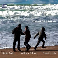 DANIEL CARTER-STREAM OF A DREAM (CD)