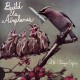 BUILD US AIRPLANES-ALL THINGS EXPIRE (LP)