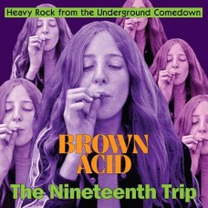 V/A-BROWN ACID: THE 19TH TRIP (LP)