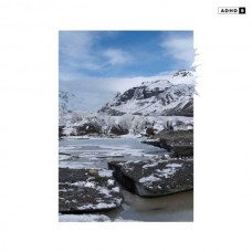 ADHD-9 (LP)