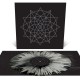 COALESCE-OX -COLOURED/LTD- (LP)
