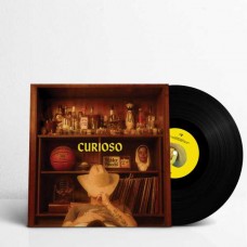 WILDER WOODS-CURIOSO (LP)