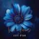 JEFF RYAN-INTO FOCUS (CD)