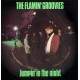 FLAMIN' GROOVIES-JUMPIN' IN THE NIGHT -COLOURED/LTD- (LP)